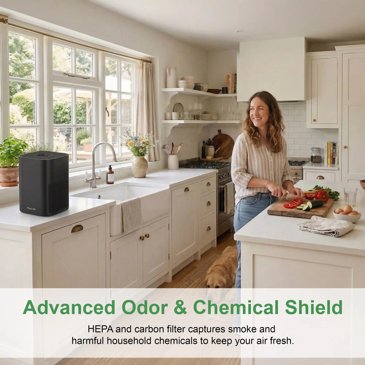 3-quarter lifestyle view of the CPM-MaxLite_AP215SF3B-air purifier on a a kitchen side counter