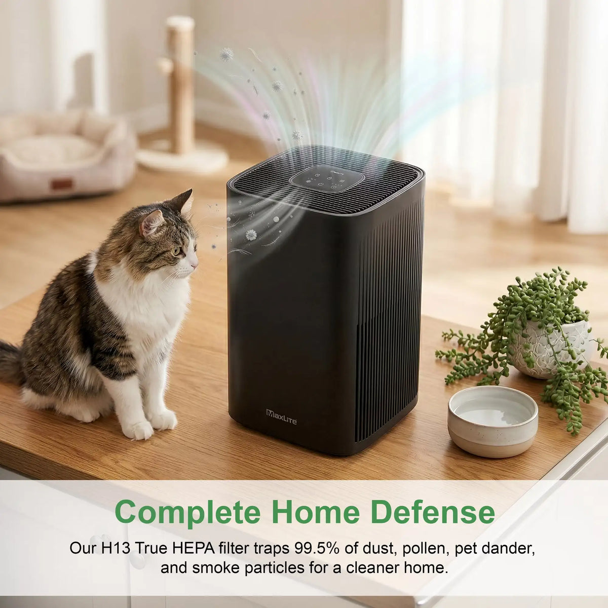 3-quarter lifestyle view of the CPM-MaxLite_AP215SF3B-air purifier on a living room side table with cat sitting near